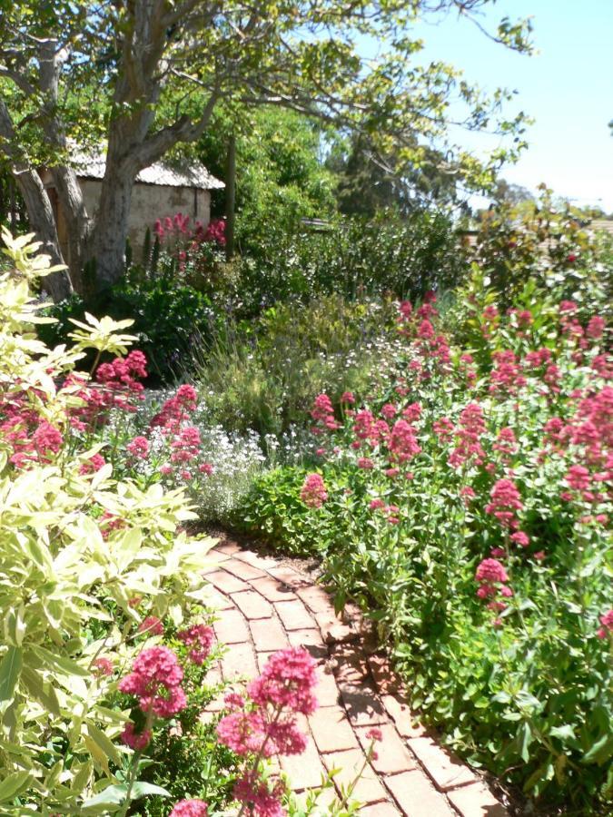 Walnut Cottage Angaston Zimmer foto